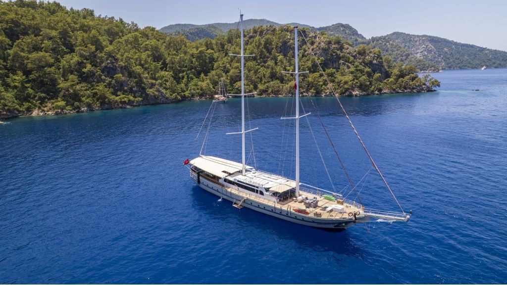 holiday-x-901-1024-576