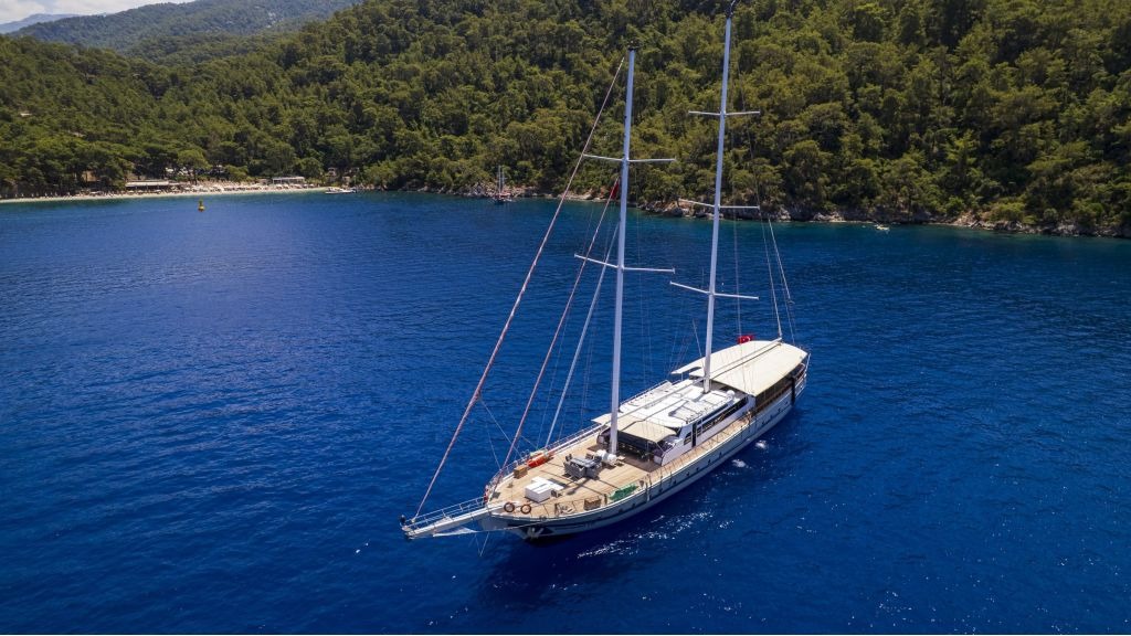 holiday-x-902-1024-576