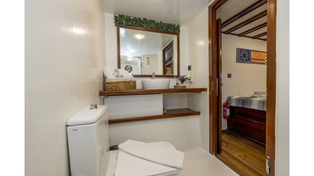 holiday-x-920-1024-576