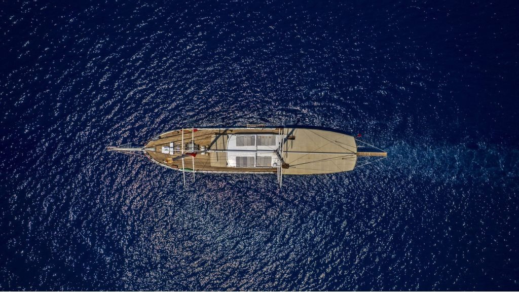 holiday-x-993-1024-576