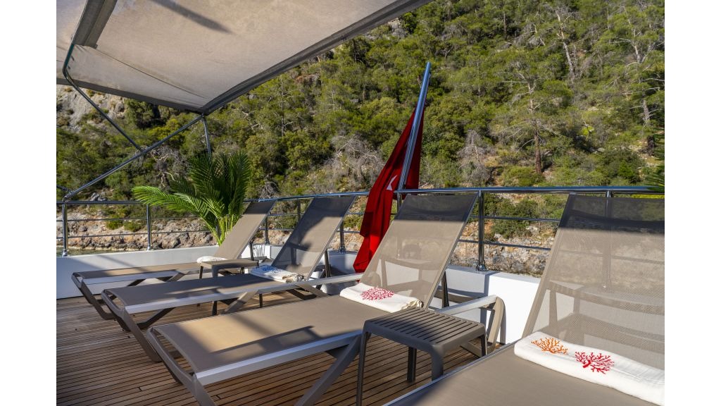 lila-trawler-537-1024-576