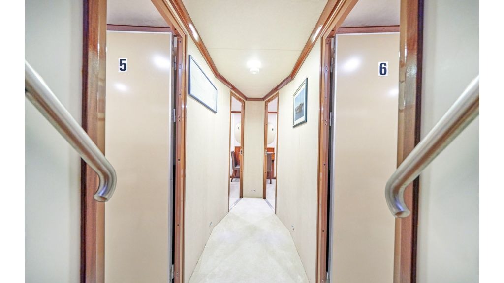 tajna-mora-50-1024-576