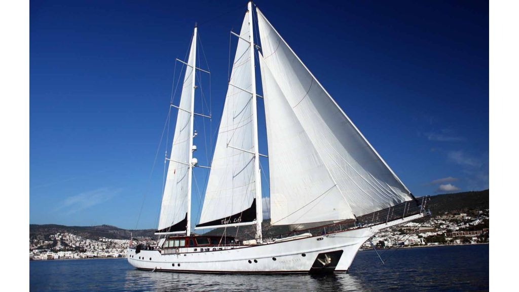 thats-life-22-1024-576