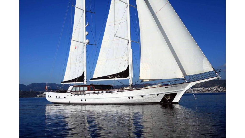 thats-life-25-1024-576