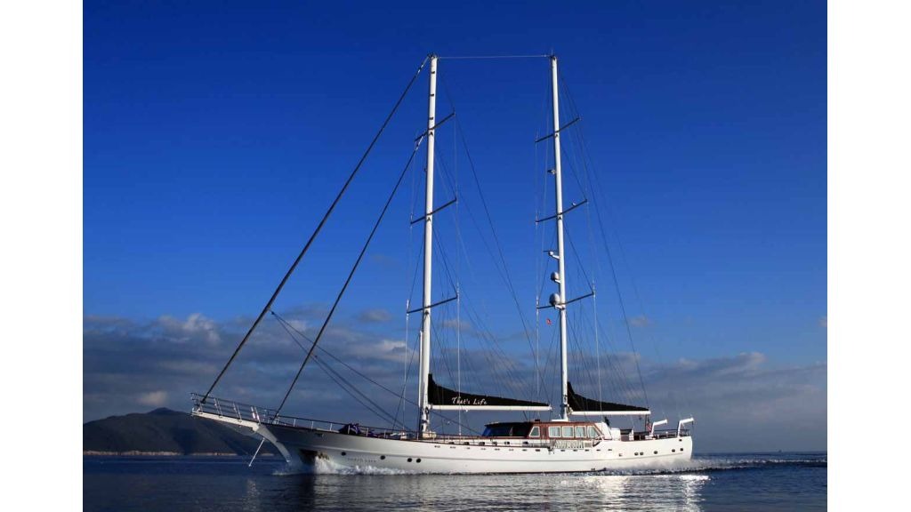 thats-life-29-1024-576