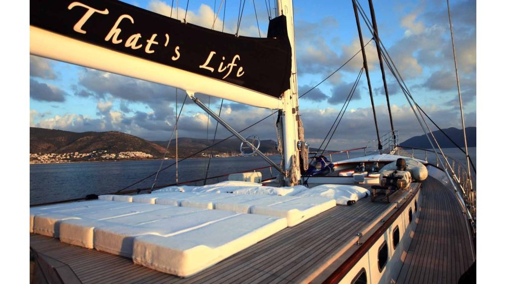 thats-life-36-1024-576