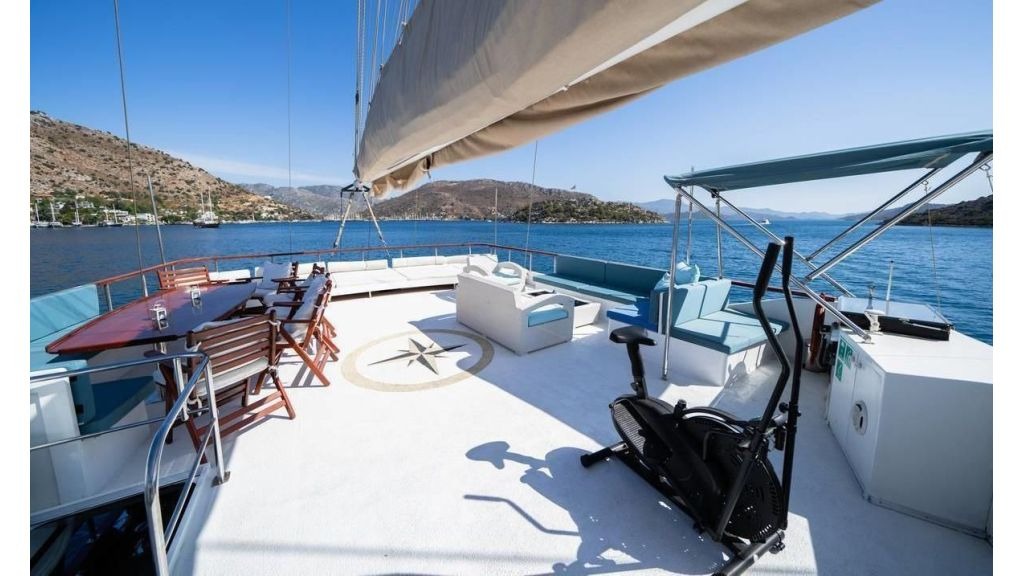 white-swan-17-1024-576
